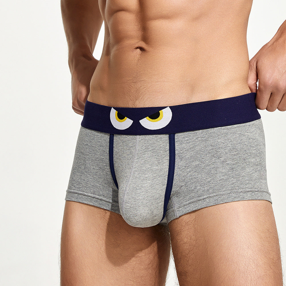 Sous-vêtements pour hommes en coton