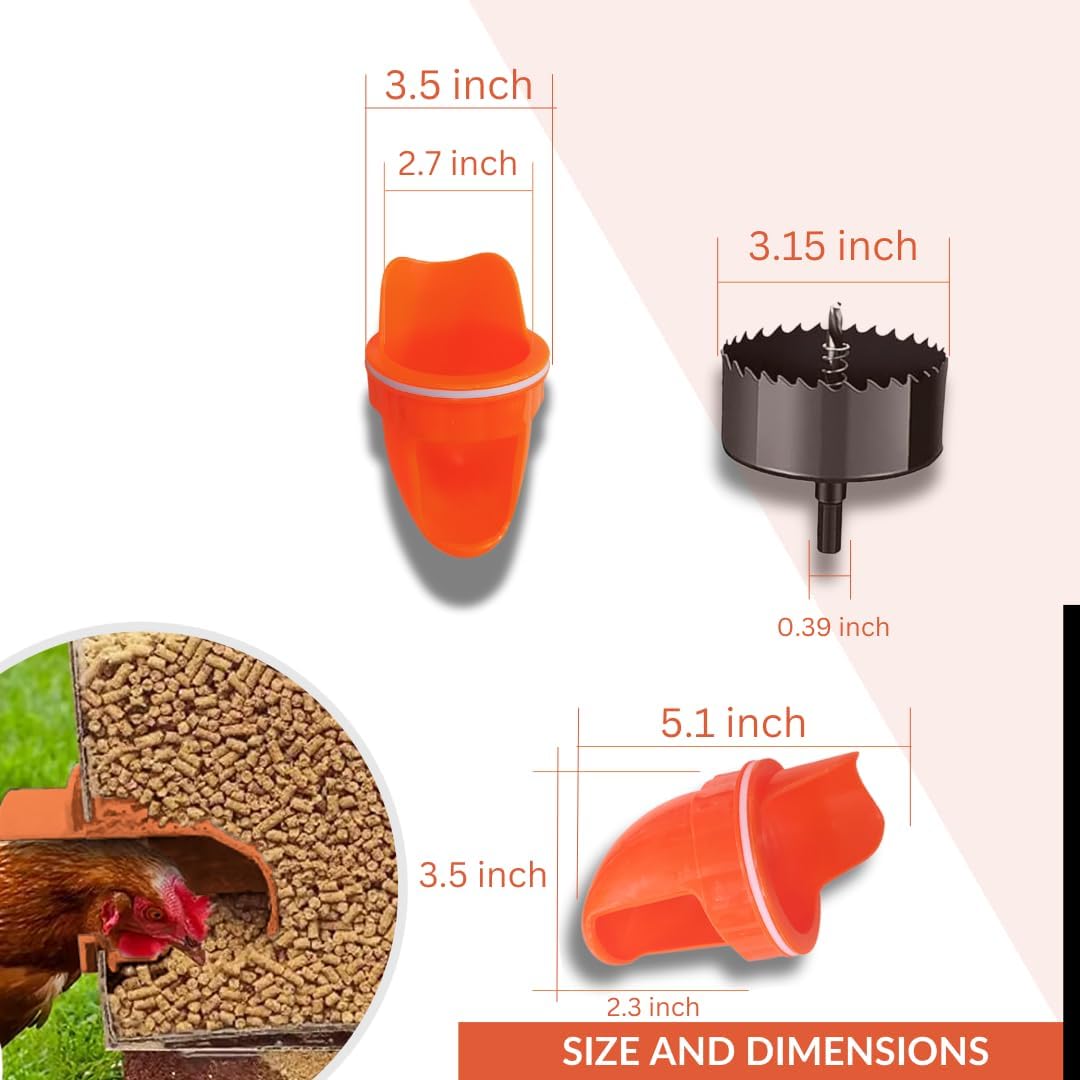 Trousse d'alimentation durable pour les poulets d'engraissement à base de viande de volaille pour les seaux