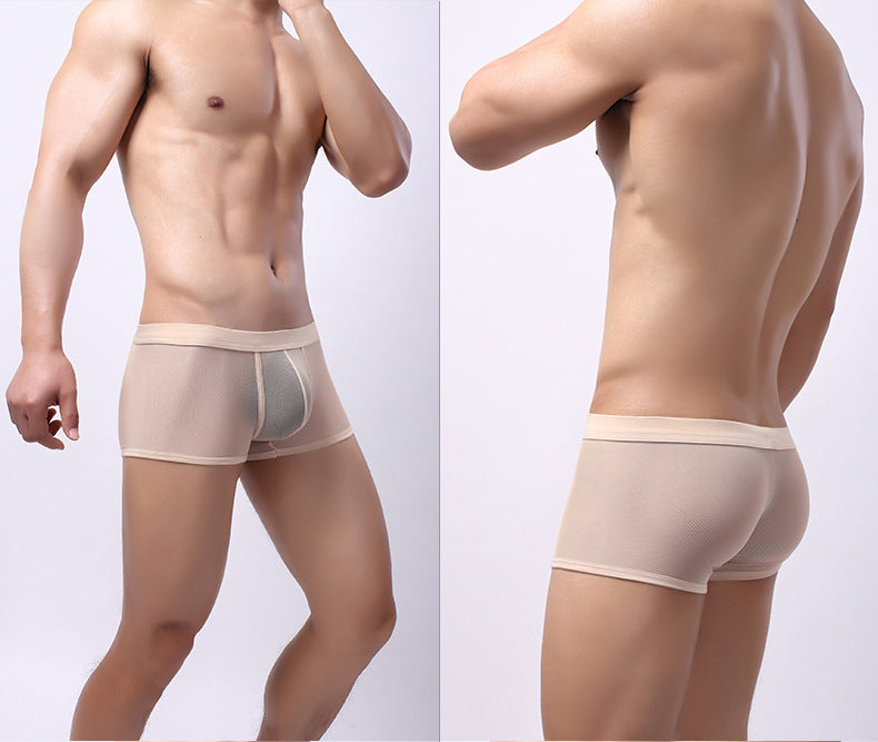 Sous-vêtements pour hommes Mesh Mesh Respirant Boxers Low Waist Transparent Boxers Youth Cool Short