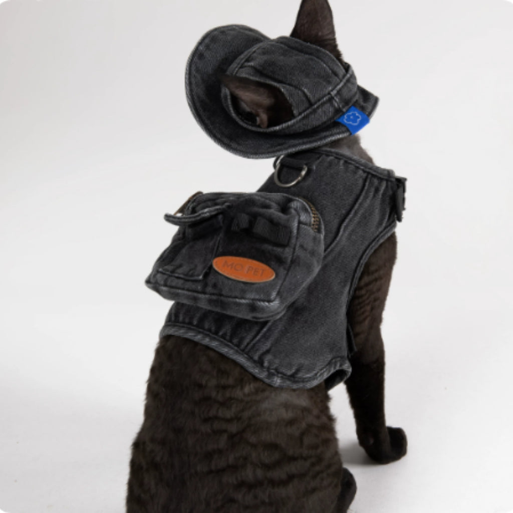 Veste de traction réglable et chapeau de pêcheur pour marcher un chat dans Devon.