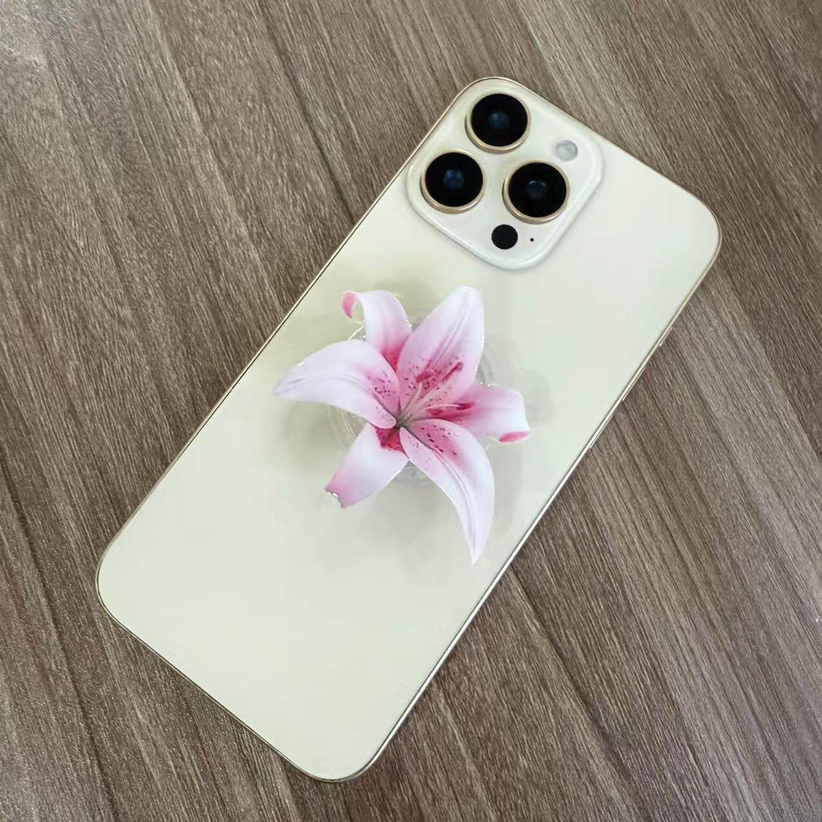 Phalaenopsis Fleurs Cellulaire Airbag Support