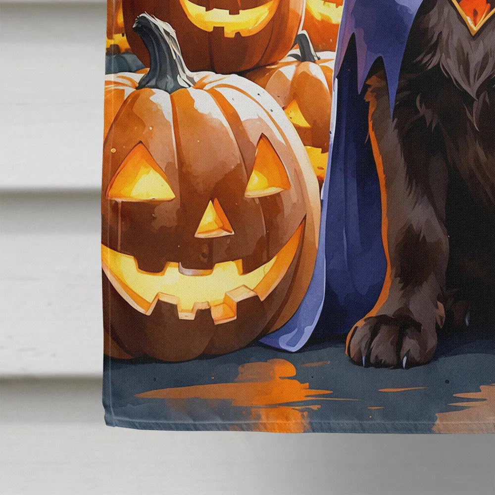 Chocolat Labrador Retriever Puppy Halloween House Drapeau Grand Porc Manches Pole décoratif
