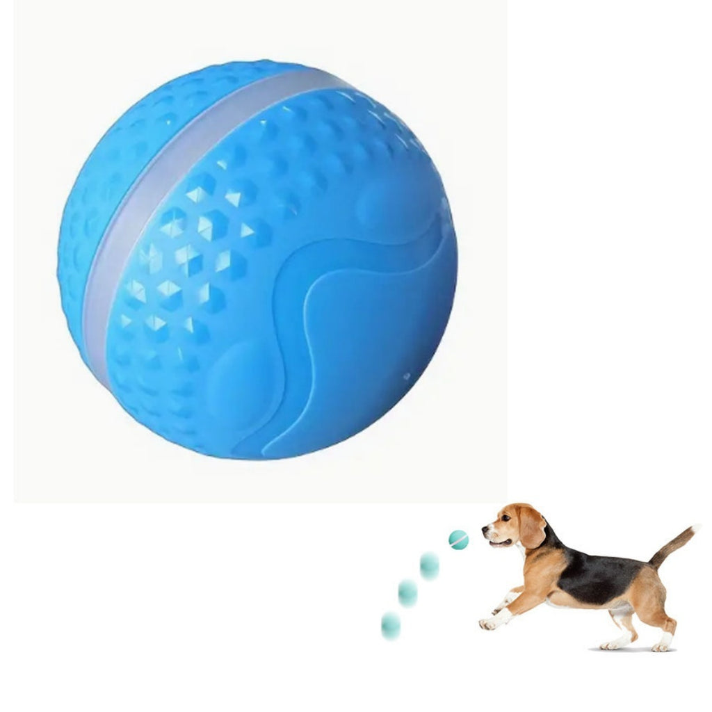 Jouet de chien de boule électrique lumineux et de chat