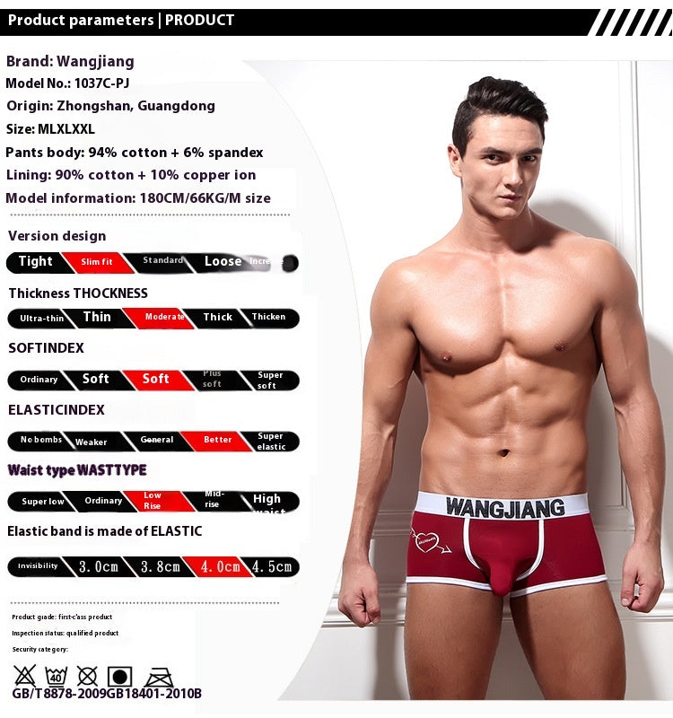 Sous-vêtements pour hommes Boxers Low Waist Coton U Convex Trunk Mode Sexy Boxers pour hommes