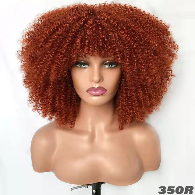 Coiffure africaine pour petites cheveux bouclés
