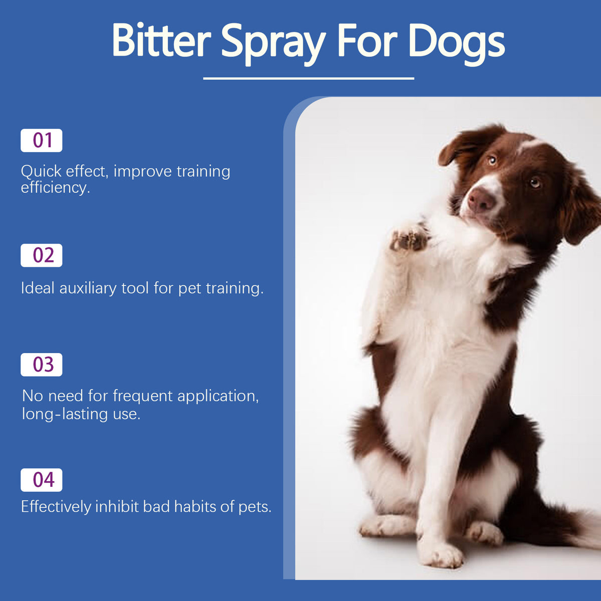Spray anti-chewing pour chien eggbong