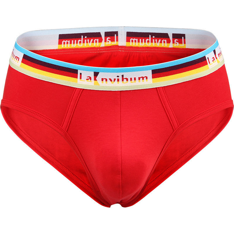 Slips en coton Rainbow Rubber Band