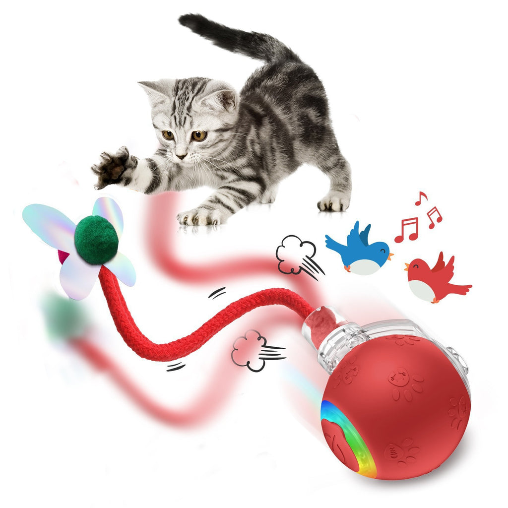 Balle de jouets pour animaux intelligents avec une corde pour chats