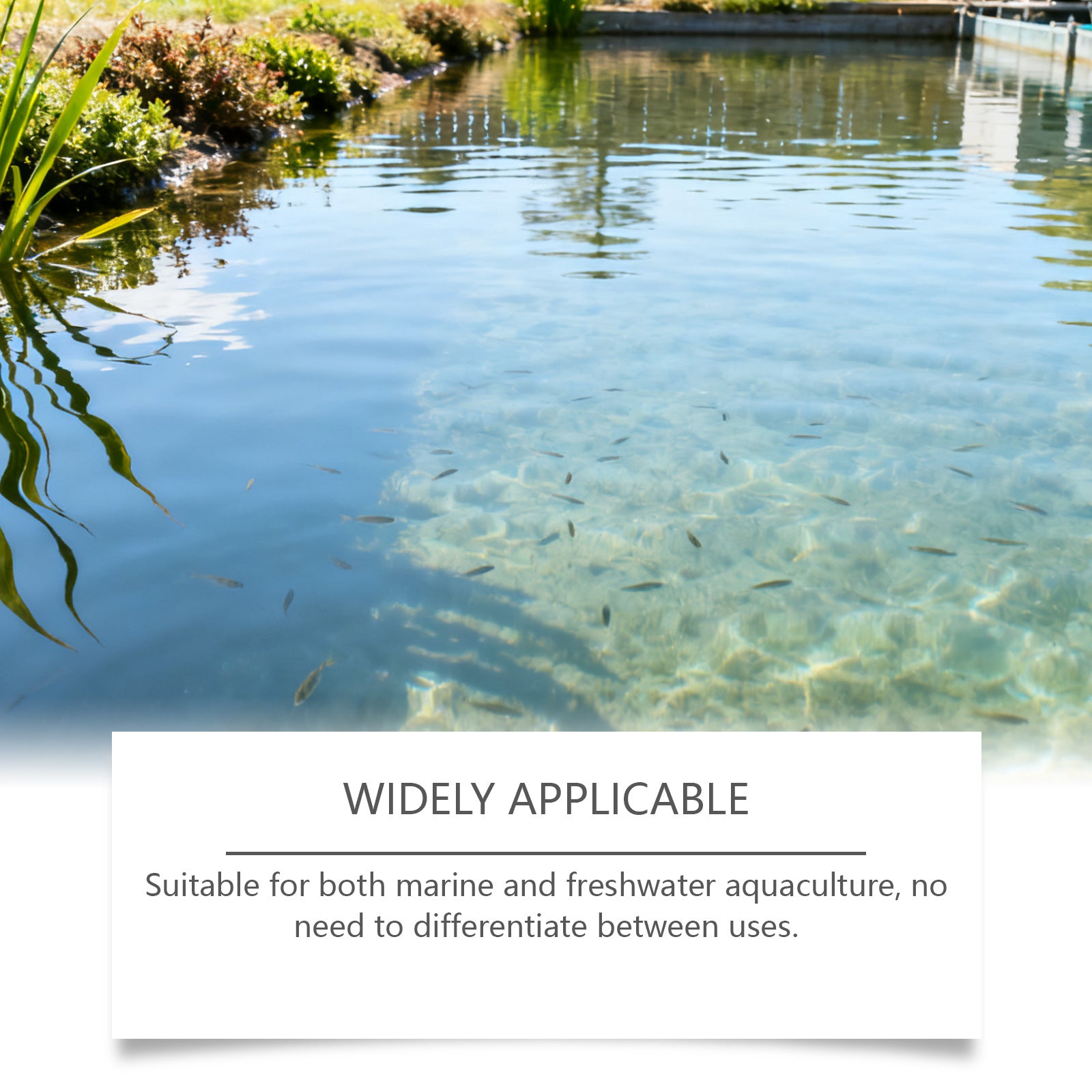 Yegbong poudre de purification de l'eau purifie l'eau