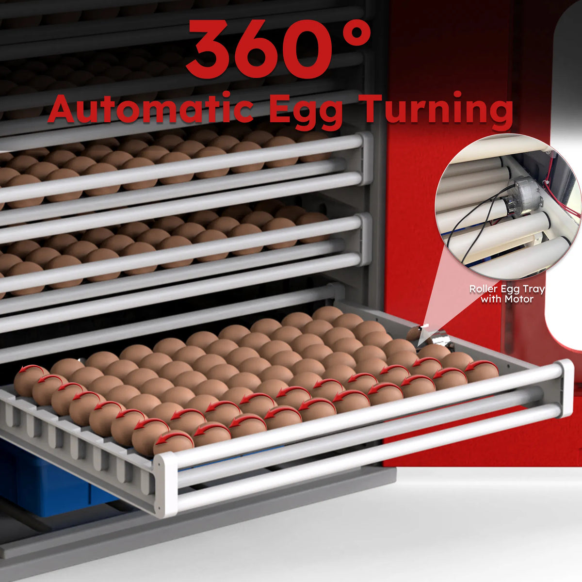 Cabinet incubateur 400 Œufs avec contrôle automatique de la température et du virage numérique