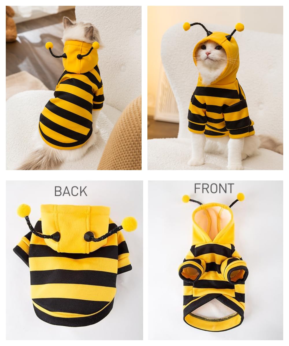 Costume d'abeille de chat mignon - Vêtements d'Halloween pour animaux Bumble Bee Cosplay Vêtements Antenne