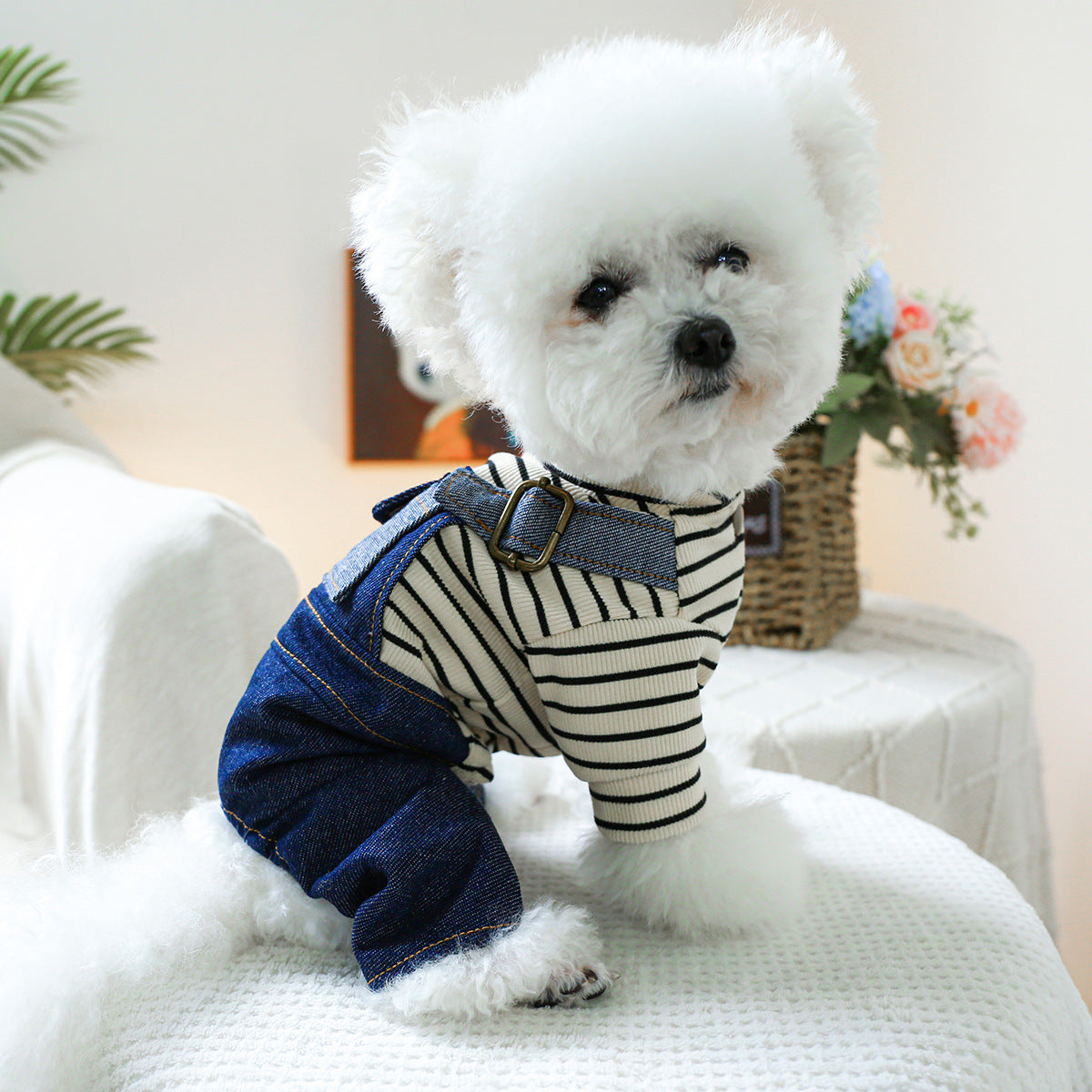 Chien de vêtements pour animaux de compagnie 4 pieds coeur Vintage