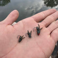 Lure Bionic Fly Hook Fly Fishing Tackle