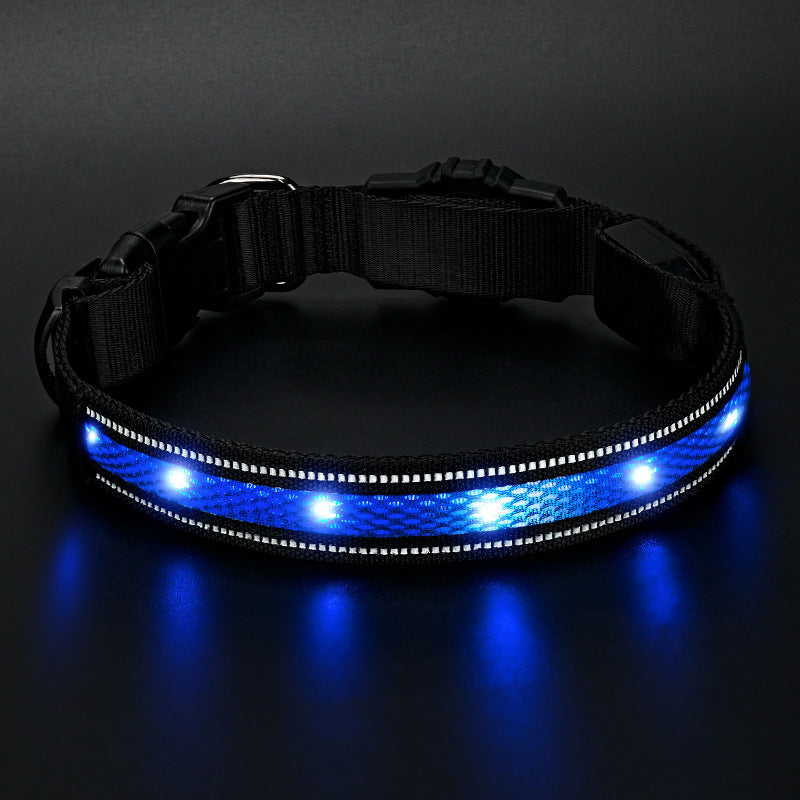 Collier de chien de Glowing imperméable rechargeable