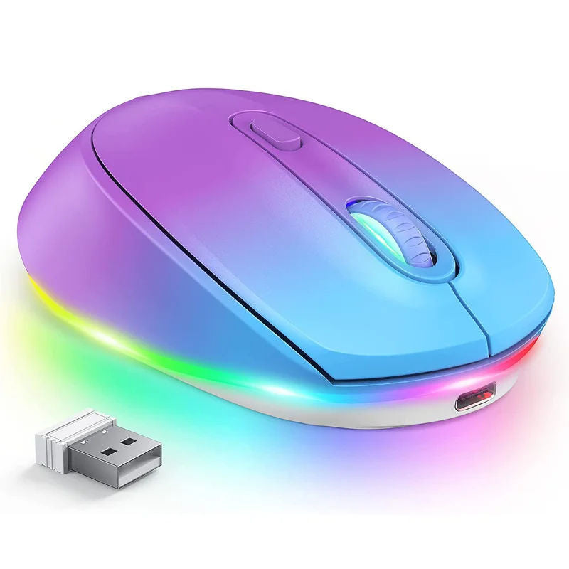 24g Souris sans fil 1600dpi Ergonomic rechargeable