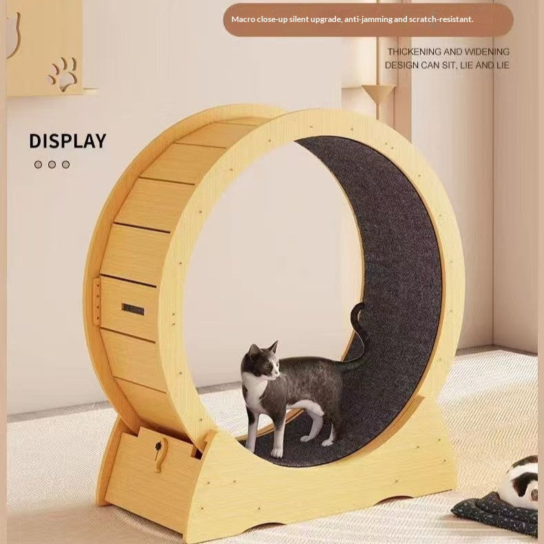 Cadre d'escalade chat tapis roulant chat