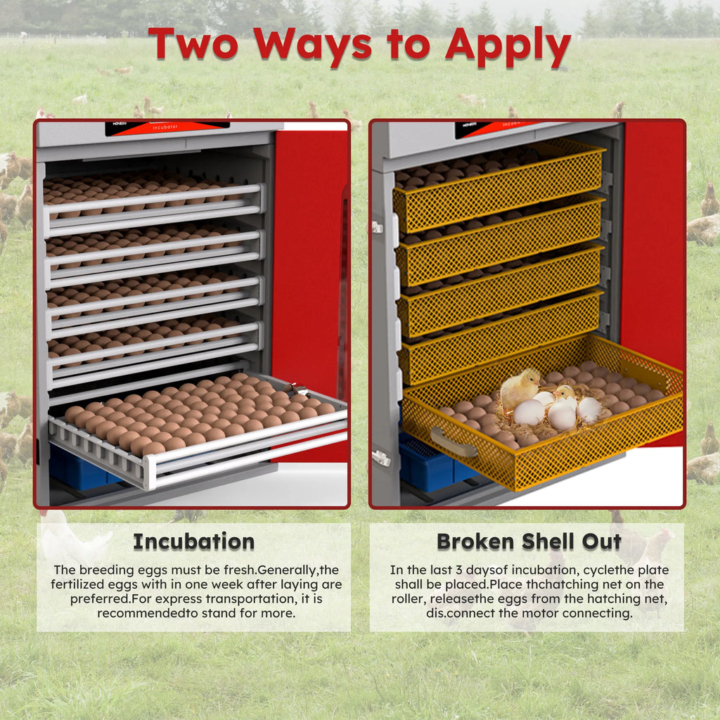 Cabinet incubateur 400 Œufs avec contrôle automatique de la température et du virage numérique