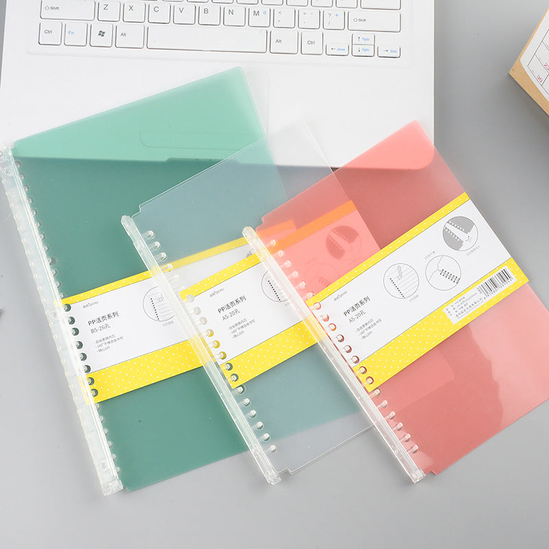 Plastic Flipbook Frosted Clip Accessories