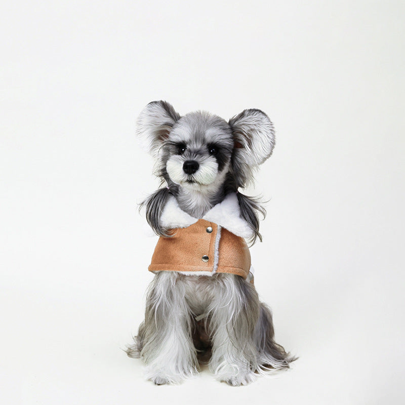 Manteau de style britannique pour chiens