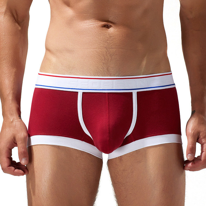 Sous-vêtements Cotton Boxer Youth Low Waist Panties Boxers pour hommes