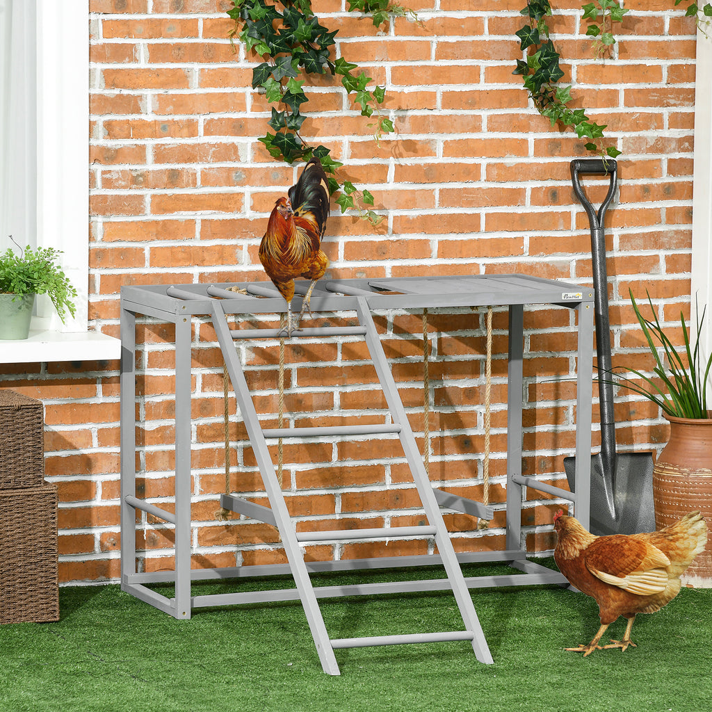 Jeu d'activité de poulet avec jeu de balançoire pour 3-4 oiseaux
