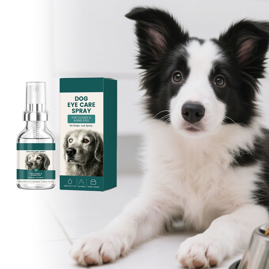Spray pour soins aux yeux des chiens