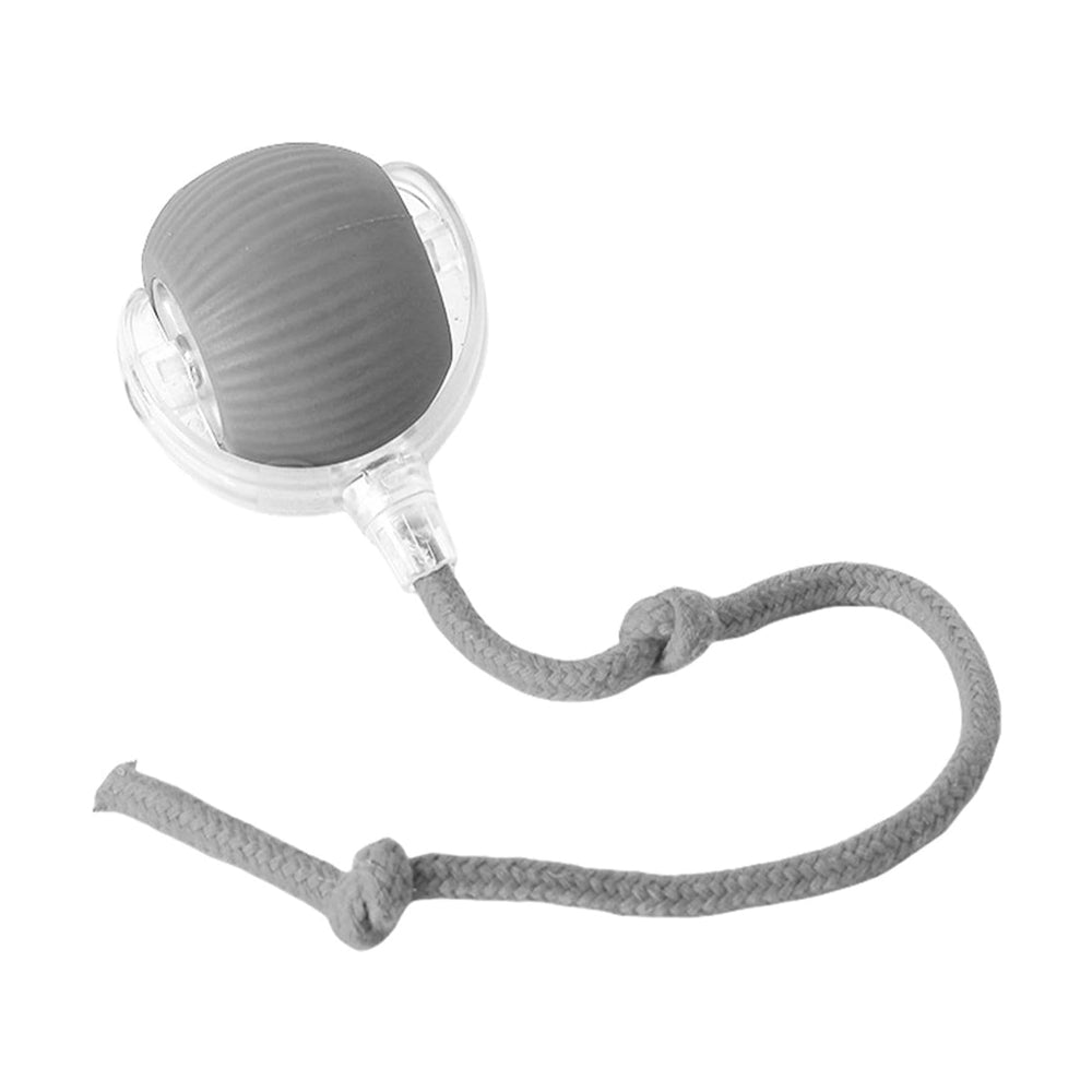 Jouet électrique de boule de chat de chien