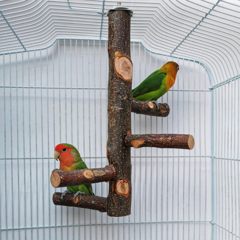 Jouet en bois de perroquet