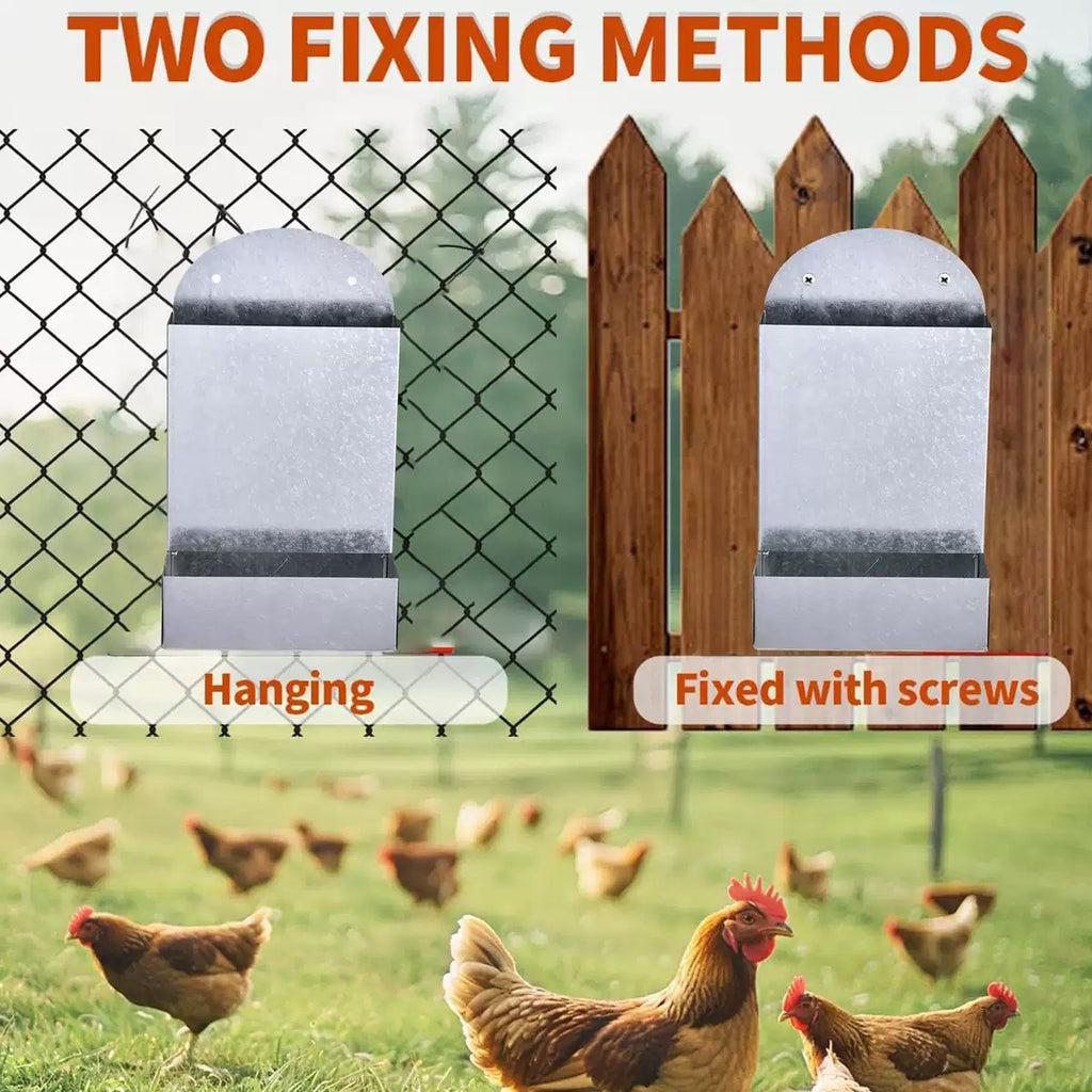 Nourriture de volaille Métaux Brut Poulet Oiseau de perroquet Petit alimentateur d'animaux