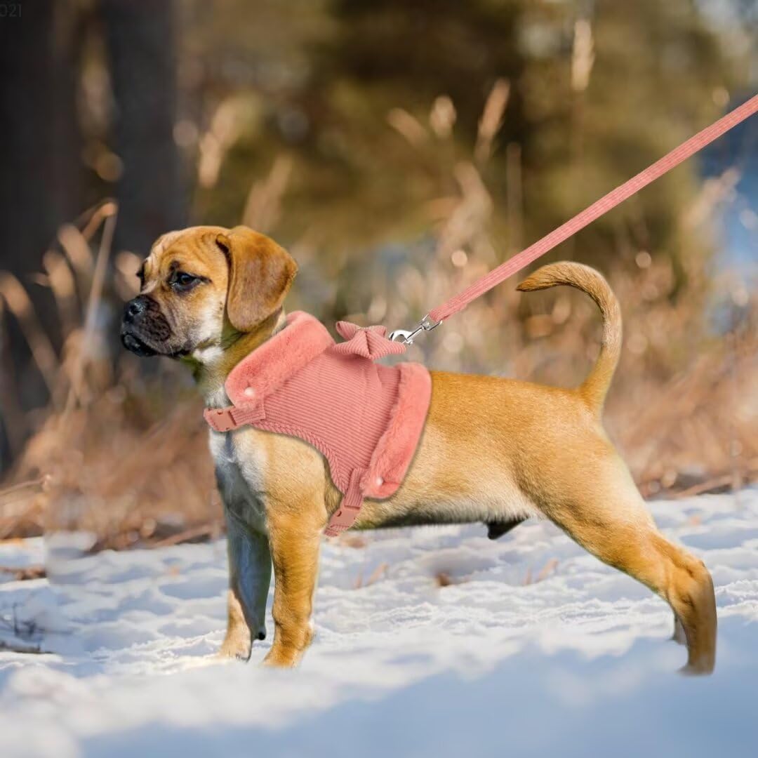 Mignon chaud petit chien Harnais et jeu de laisse avec Bow Tie