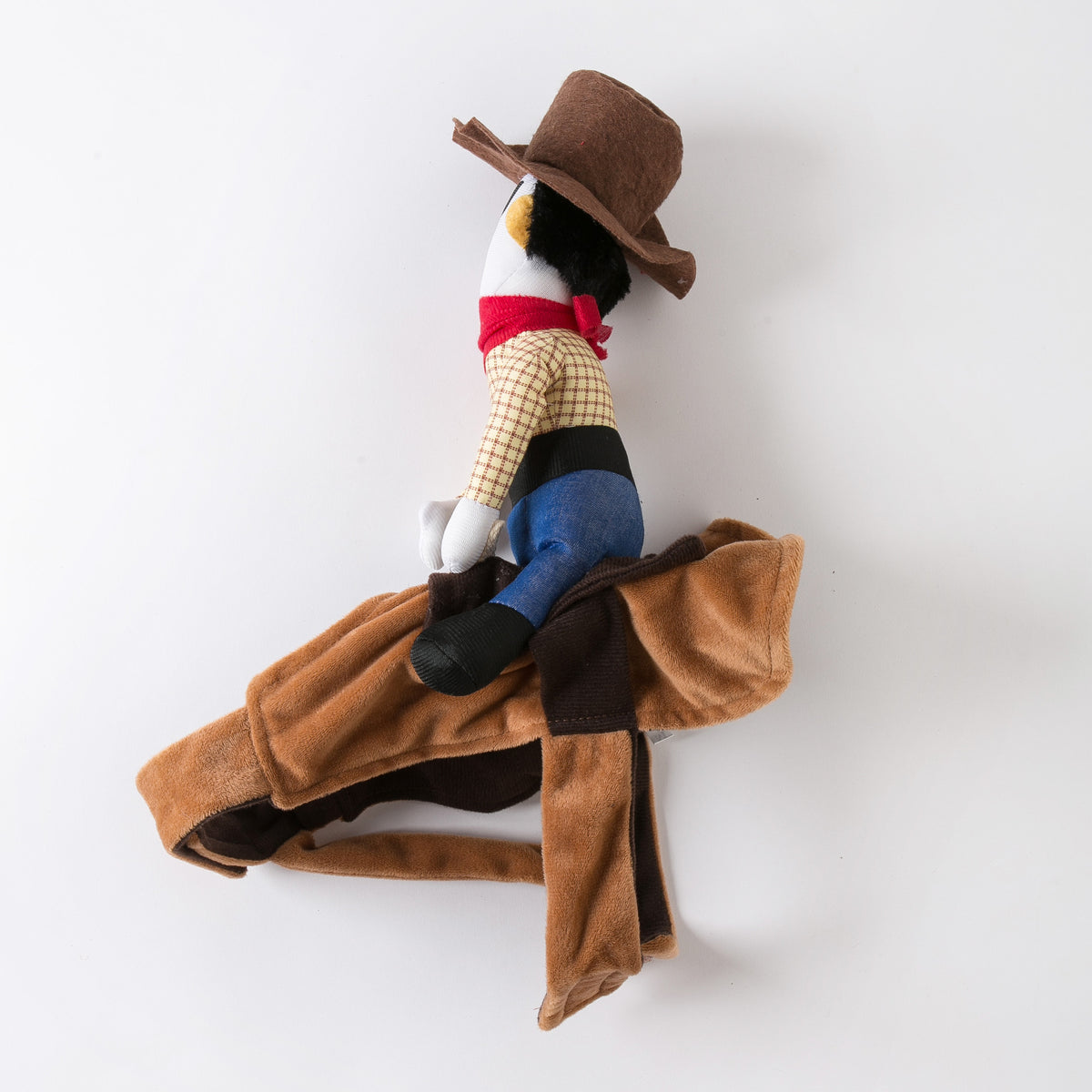 Vêtements de chien créatifs Personnalisé Drôle Déguisement animal Riding Denim Corgi Teddy Golden Retrie