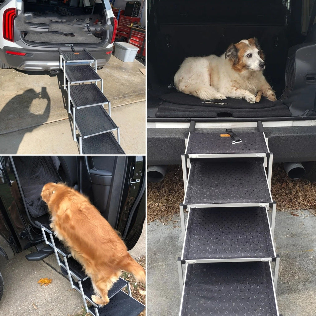 Échelle de chien pliable portable 6 étapes en aluminium animal