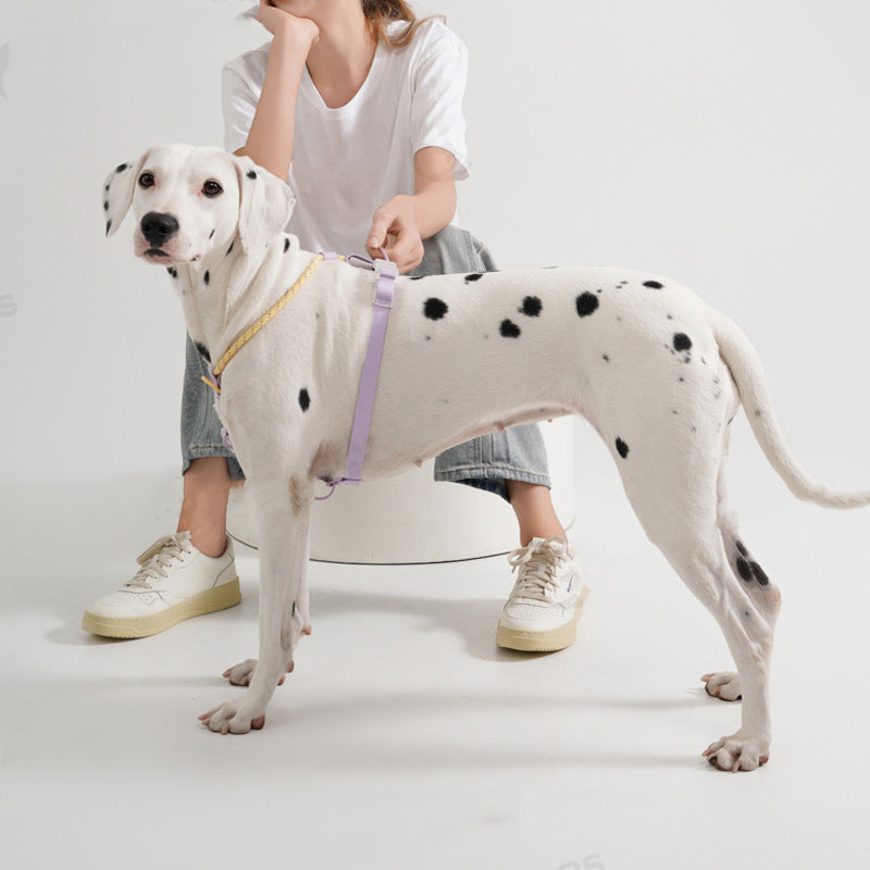 Veste de traction de chien de style Pet's Chest-back costume