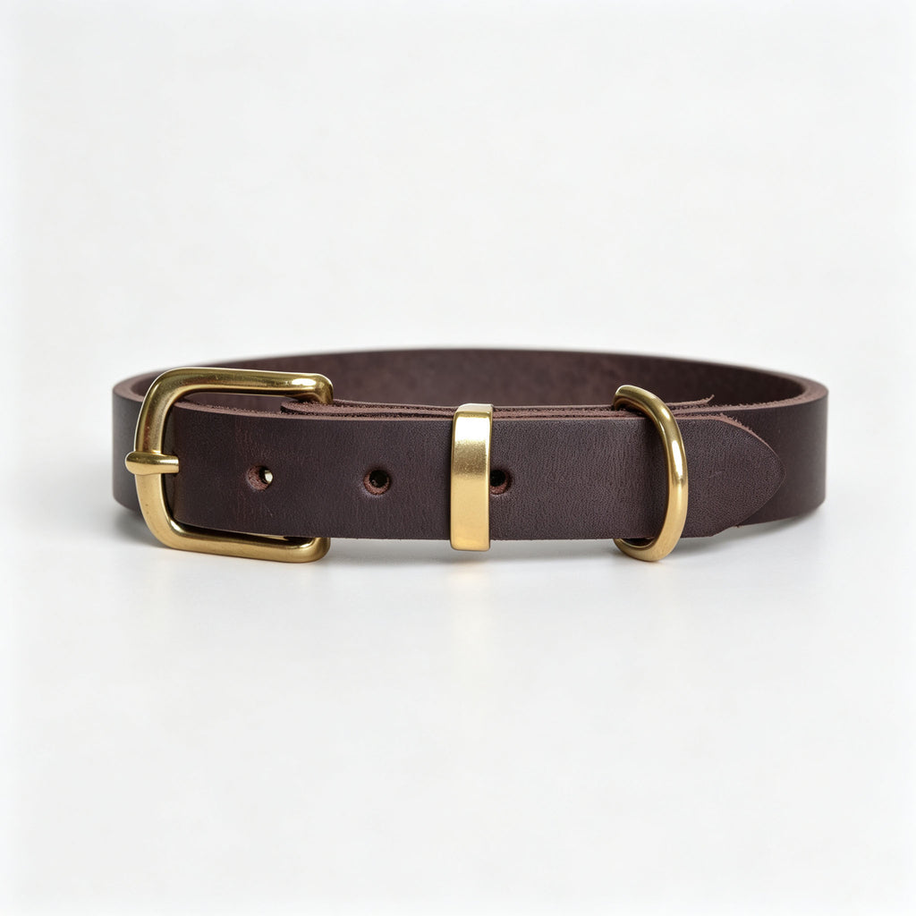 Collier pour animaux de style vintage avec fixations en laiton