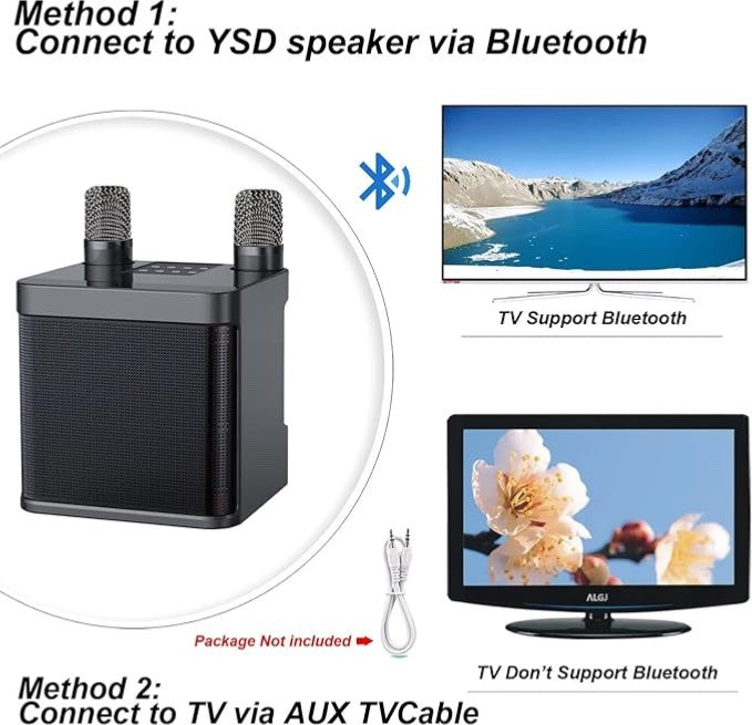 Machine de Karaoké Bluetooth portable avec 2 micros sans fil 3000mAh