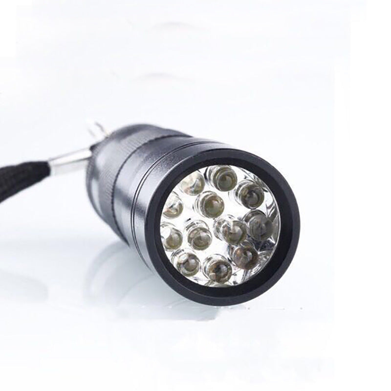 Portable Violet Light Detection Flashlight
