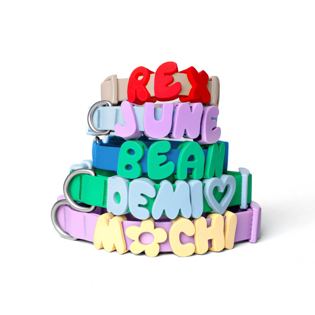 Personalized Name Collar Lettre anglaise Lettre de traction