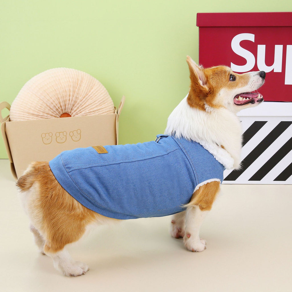 Robe de chien Corgi Denim Coton