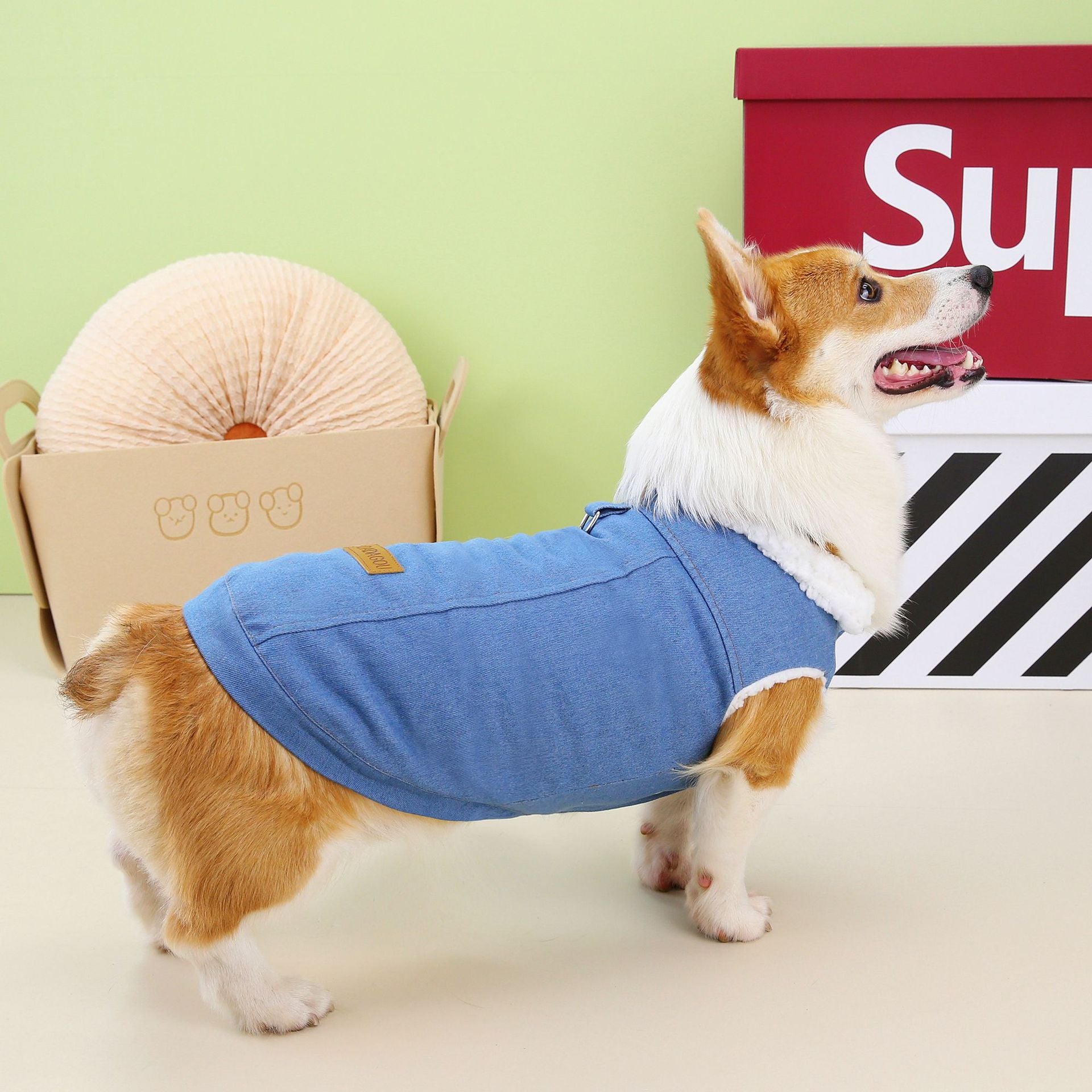 Robe de chien Corgi Denim Coton