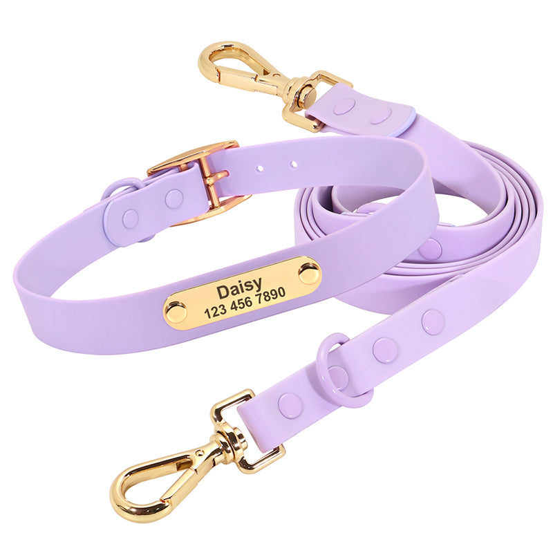 Col laisse chien moyen Teddy