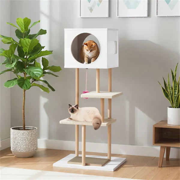 Arbre de chat multi-niveaux avec 2 tampons de graissage