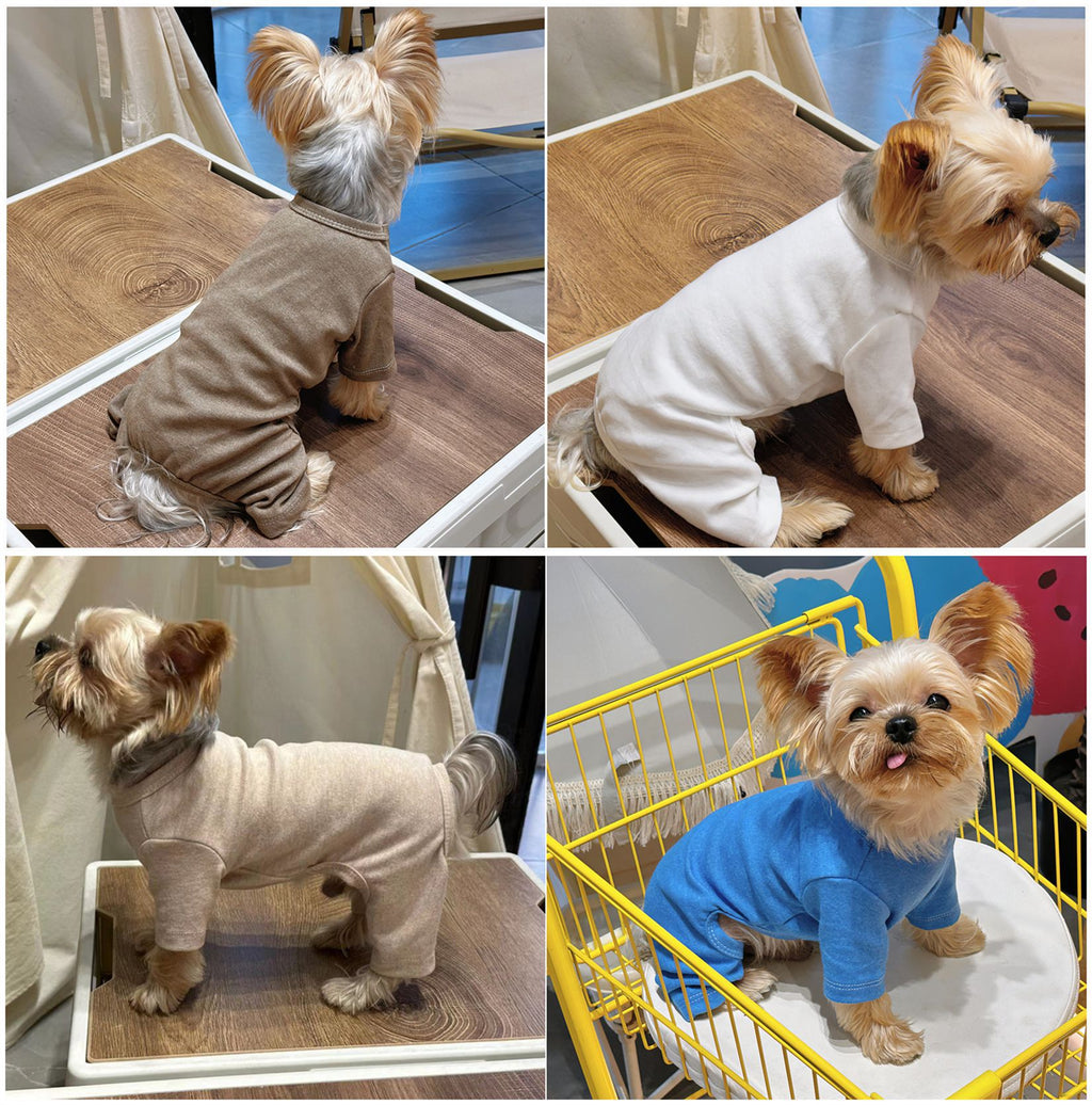 Vêtements pour chiens pour petits chiens