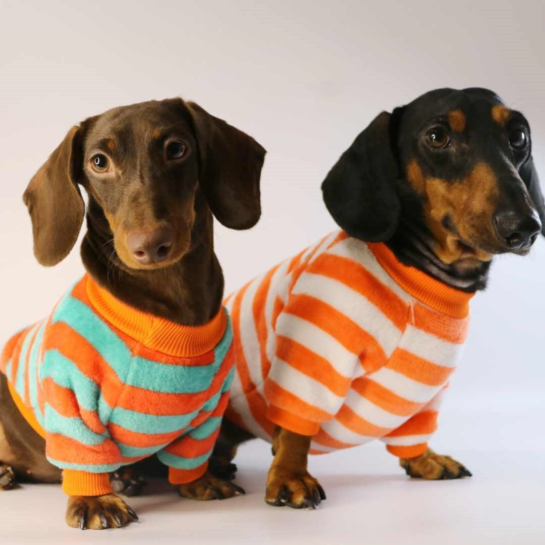 Maillots de chat de chien Sweatshirt casual