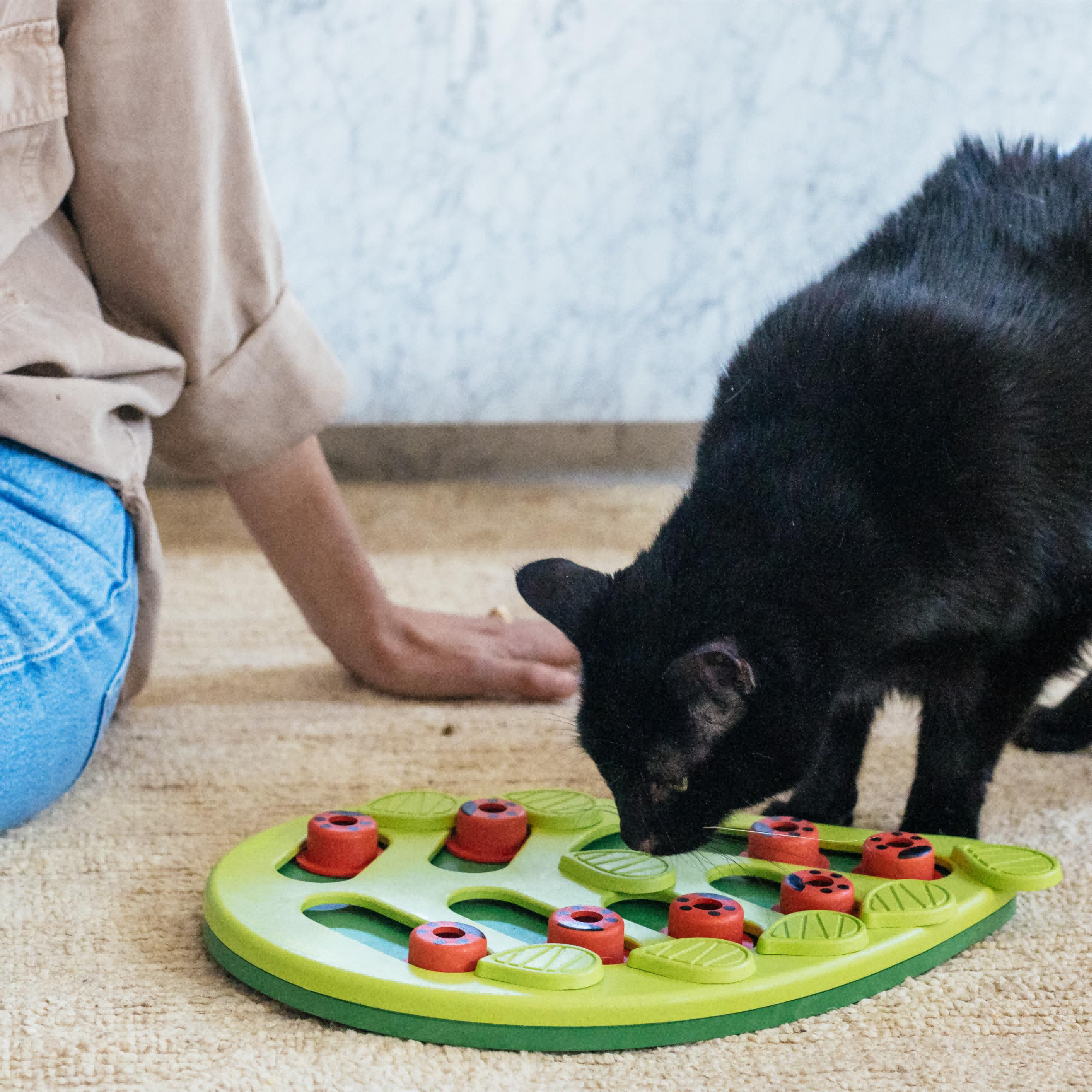 Nina Ottosson Buggin Out Puzzle & Play Cat Puzzle Feeder - Jeu interactif de traite pour Indo