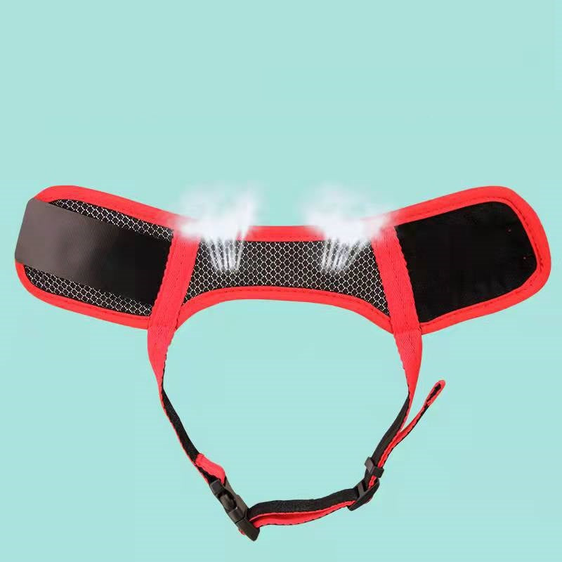 Masques anti-barrage et d'alimentation pour chiens de compagnie