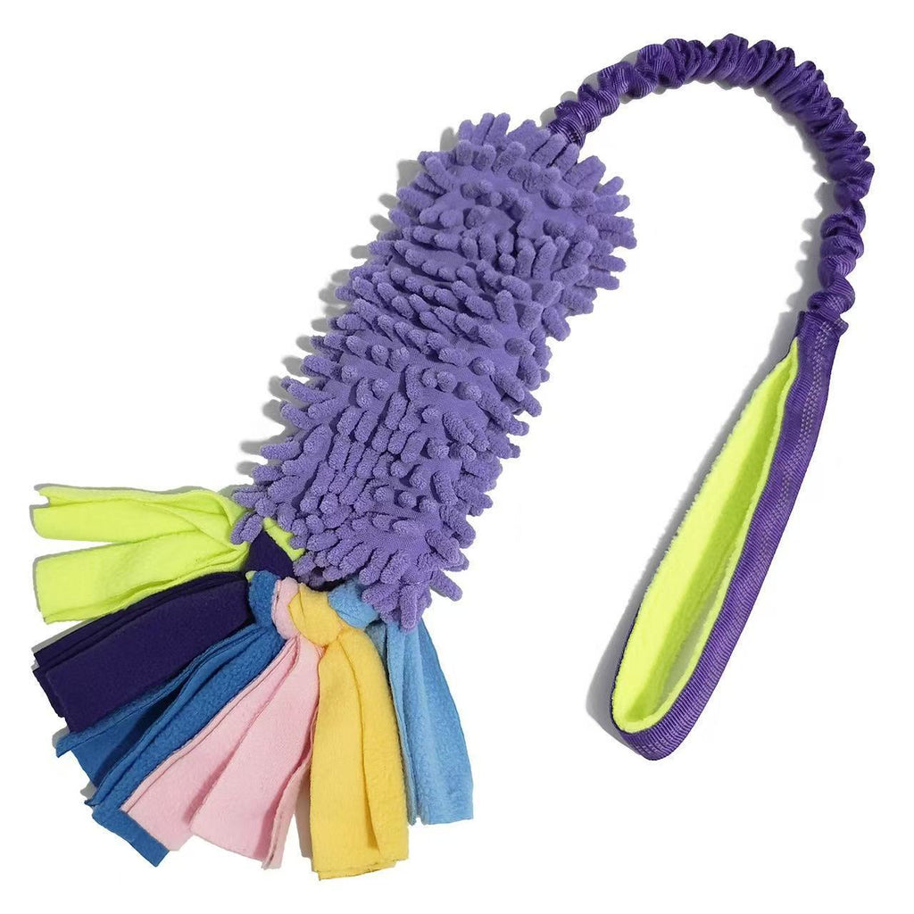 Animaux de compagnie Dents et dents Nettoyage Rope résistante chien Interactive Boredom Busting