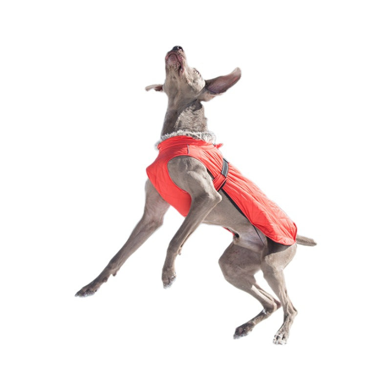 Vêtements pour animaux de compagnie Coton Coats Vente en gros