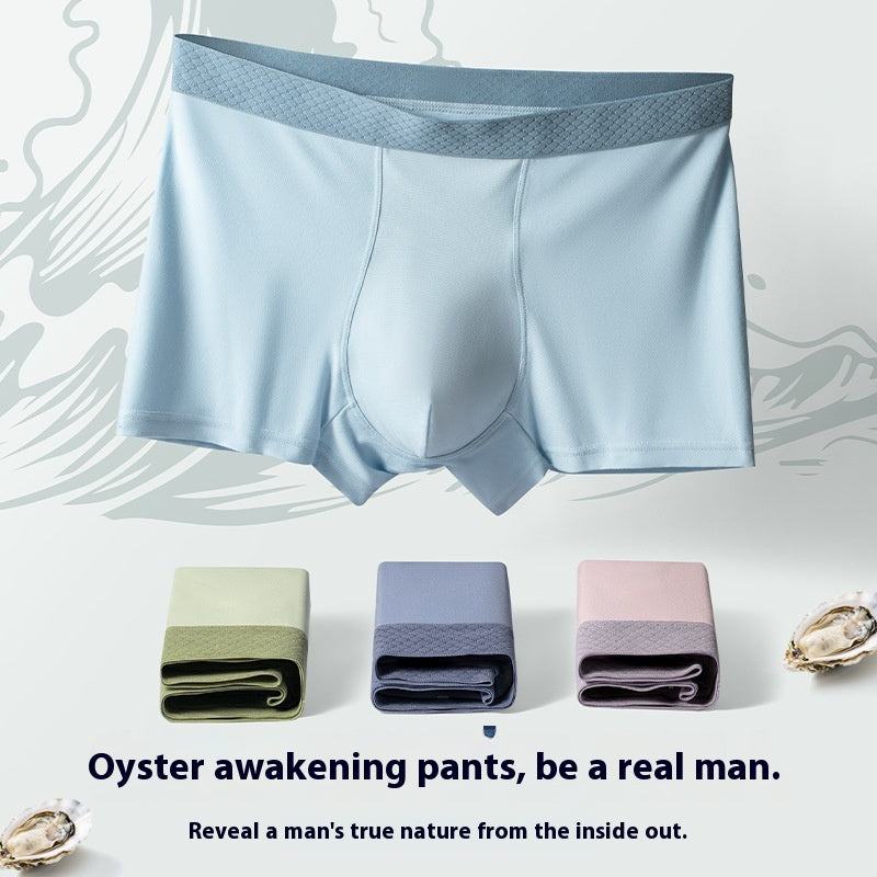 Boxer modal en nylon Shorts pour hommes d'âge moyen et vieux Boxers