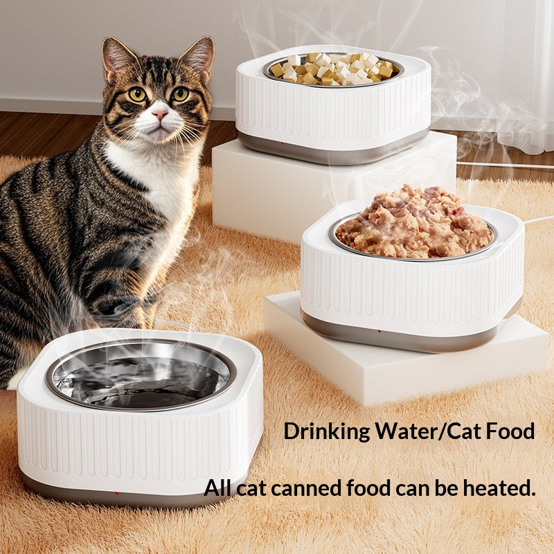 Simple bol d'eau en acier inoxydable à usage domestique avec température constante pour les chats