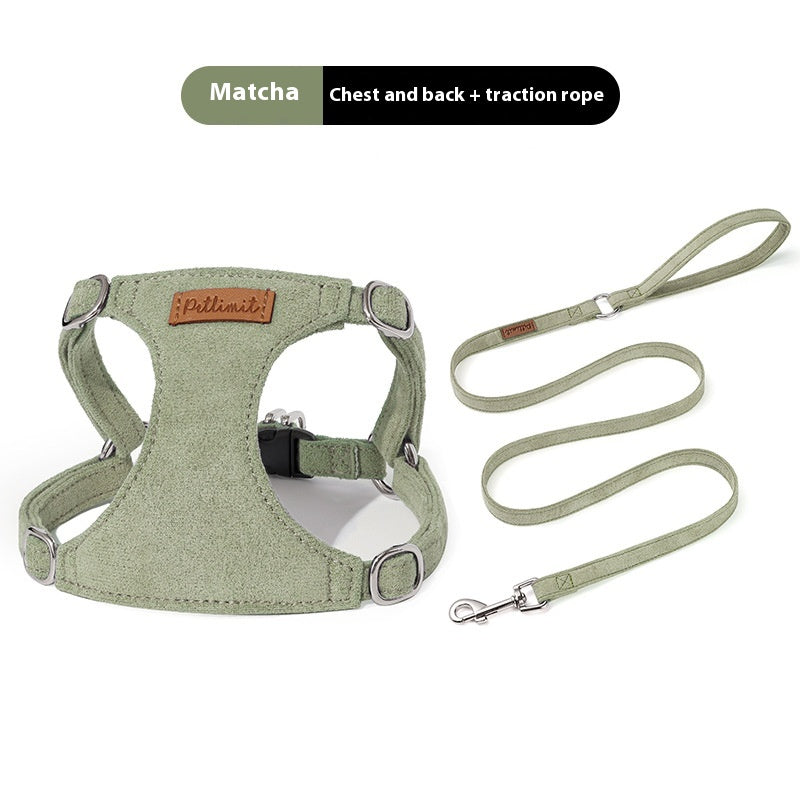 Puppy main tenant la corde Veste chien marche